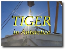 TIGER in Antarctica